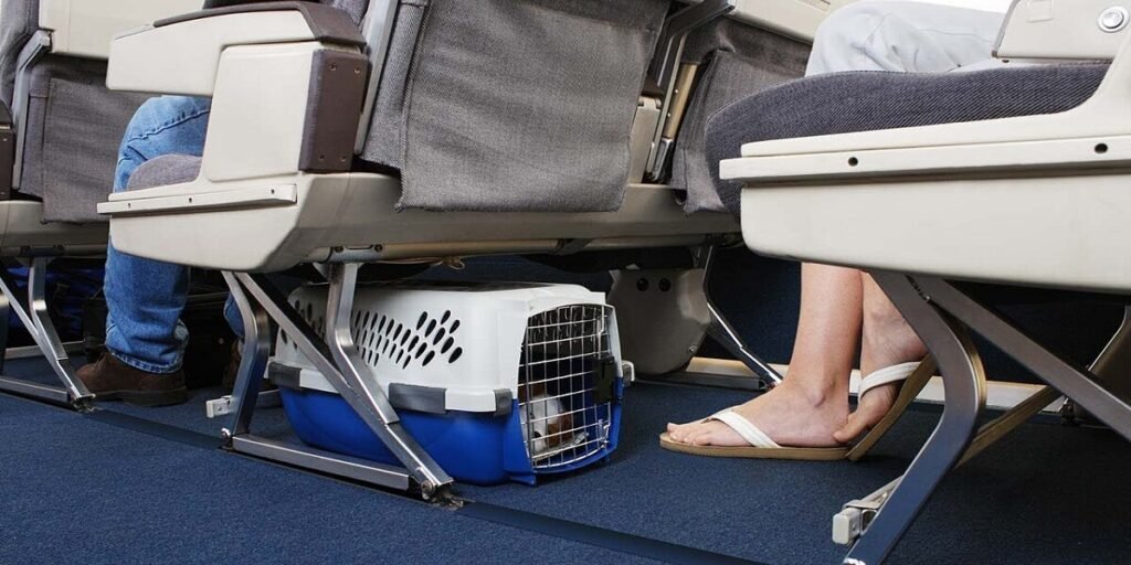 Hainan Airlines Pet Policy Reviews