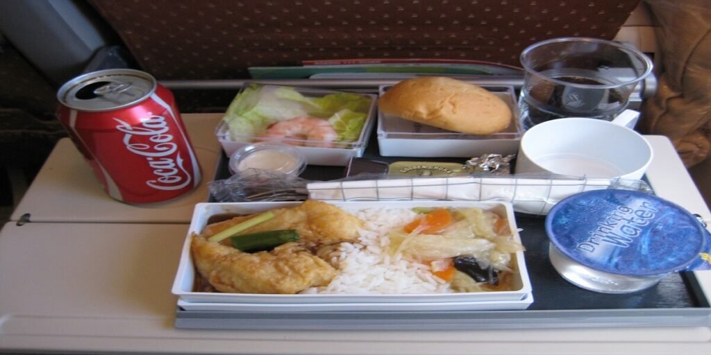 Singapore Airlines inflight meal - singapore airlines economy food review