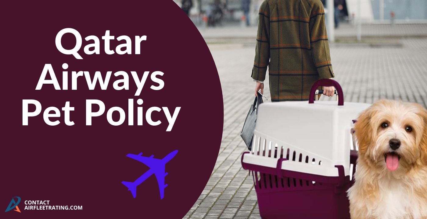qatar airways pet travel policy