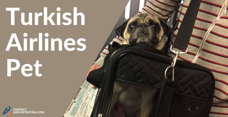 turkish-airlines-pet-policy-fees-carrier-size