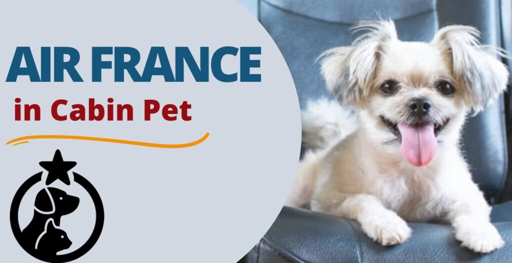 airfleetrating-air france in cabin pet policy