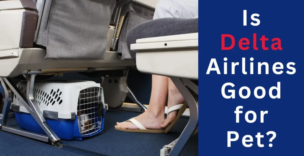 Image of Is Delta Airline reliable to fly pet